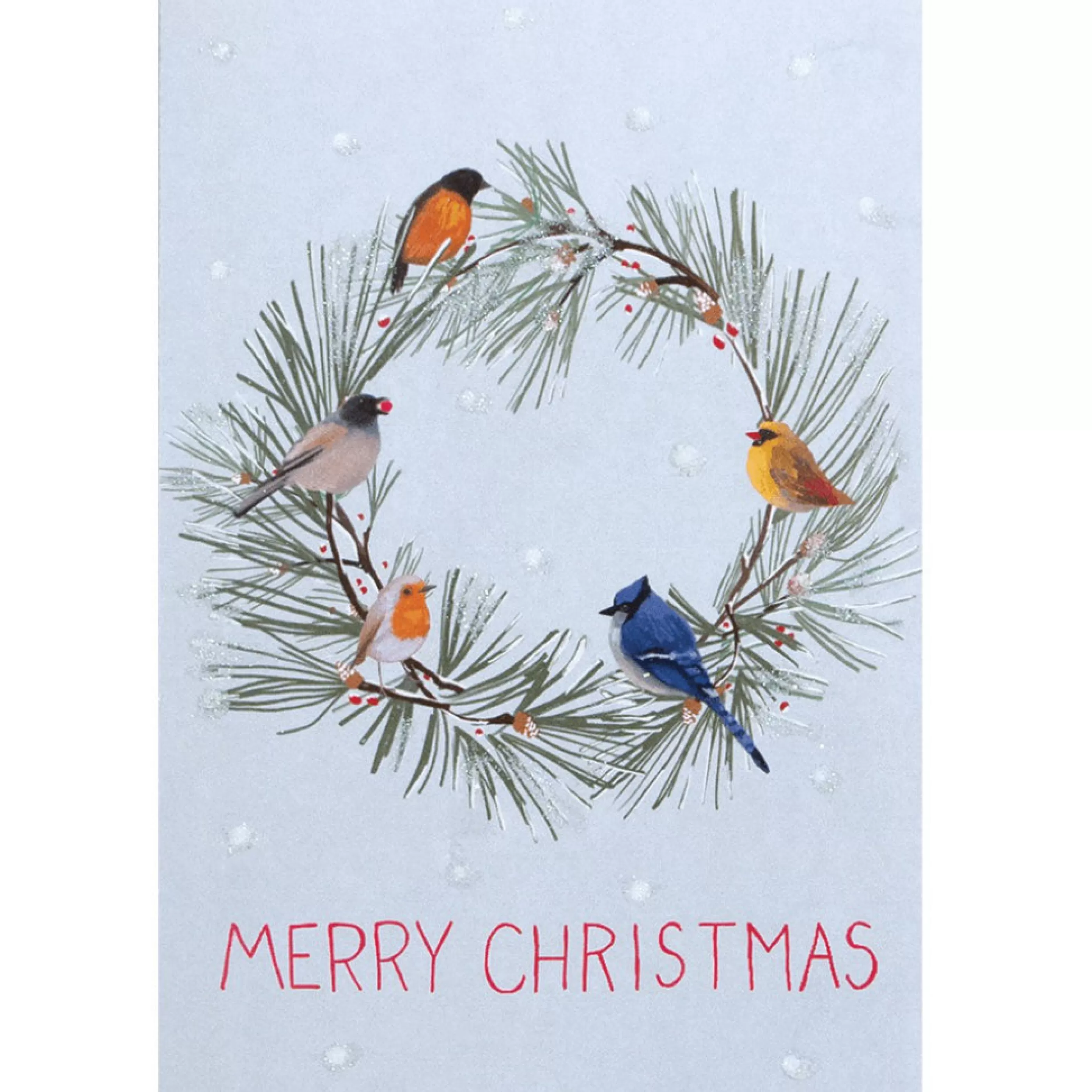 The Gift Wrap Company Birds All Around Boxed Christmas Cards Hot