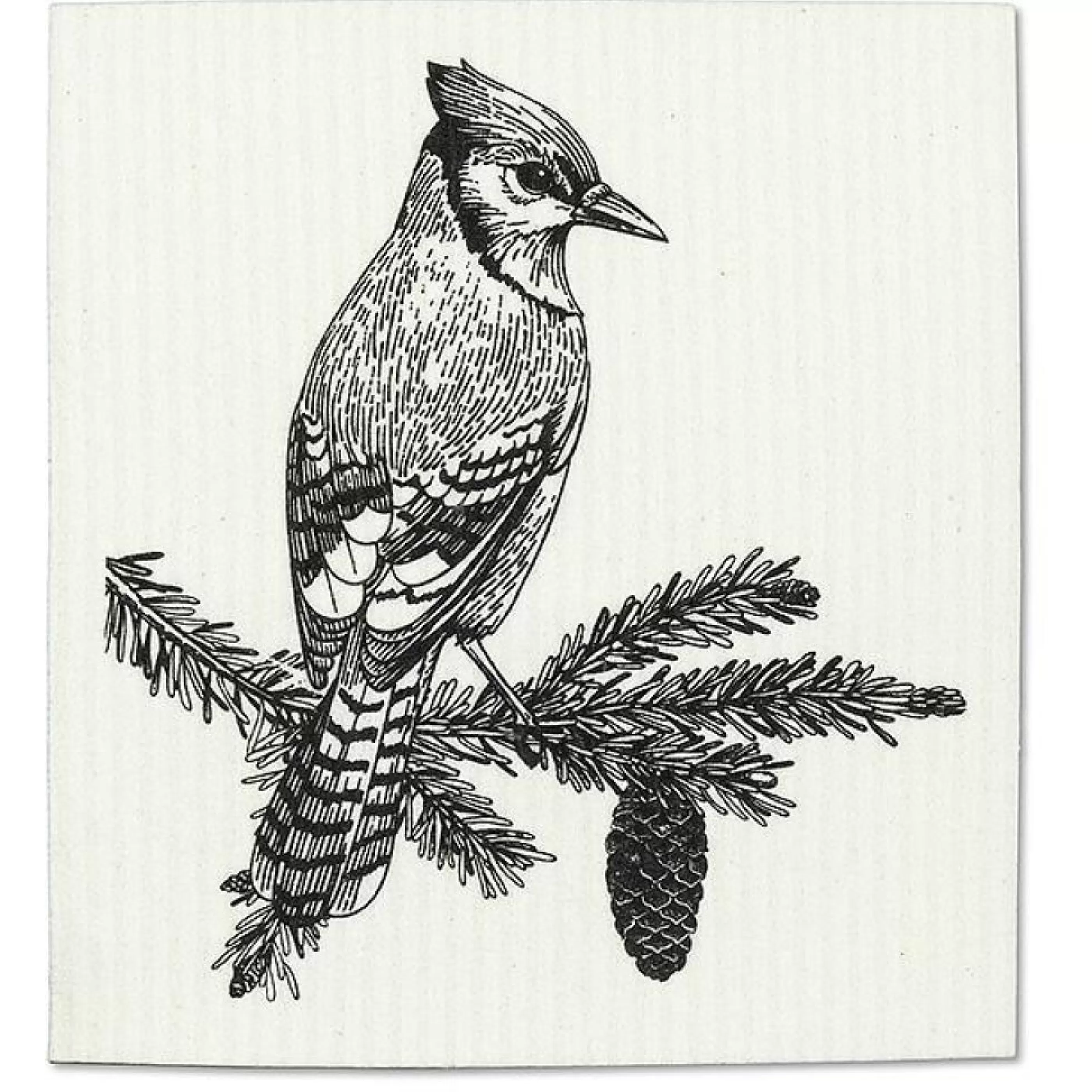 Abbott Collection Black & White Winter Birds Swedish Dishcloths Set Of 2 Best