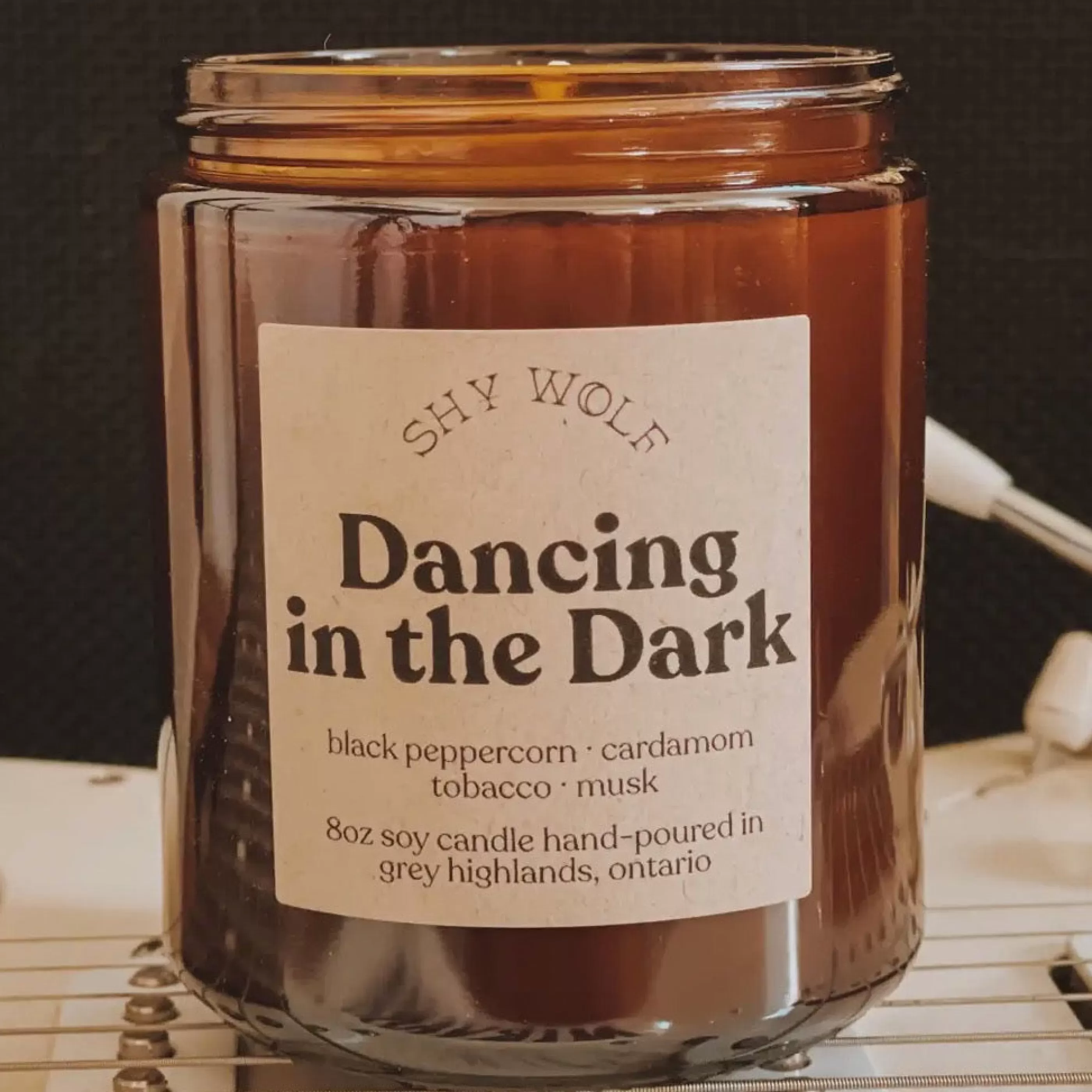 Shy Wolf Candles Candles & Home Fragrances>Dancing In The Dark Soy Wax Candle