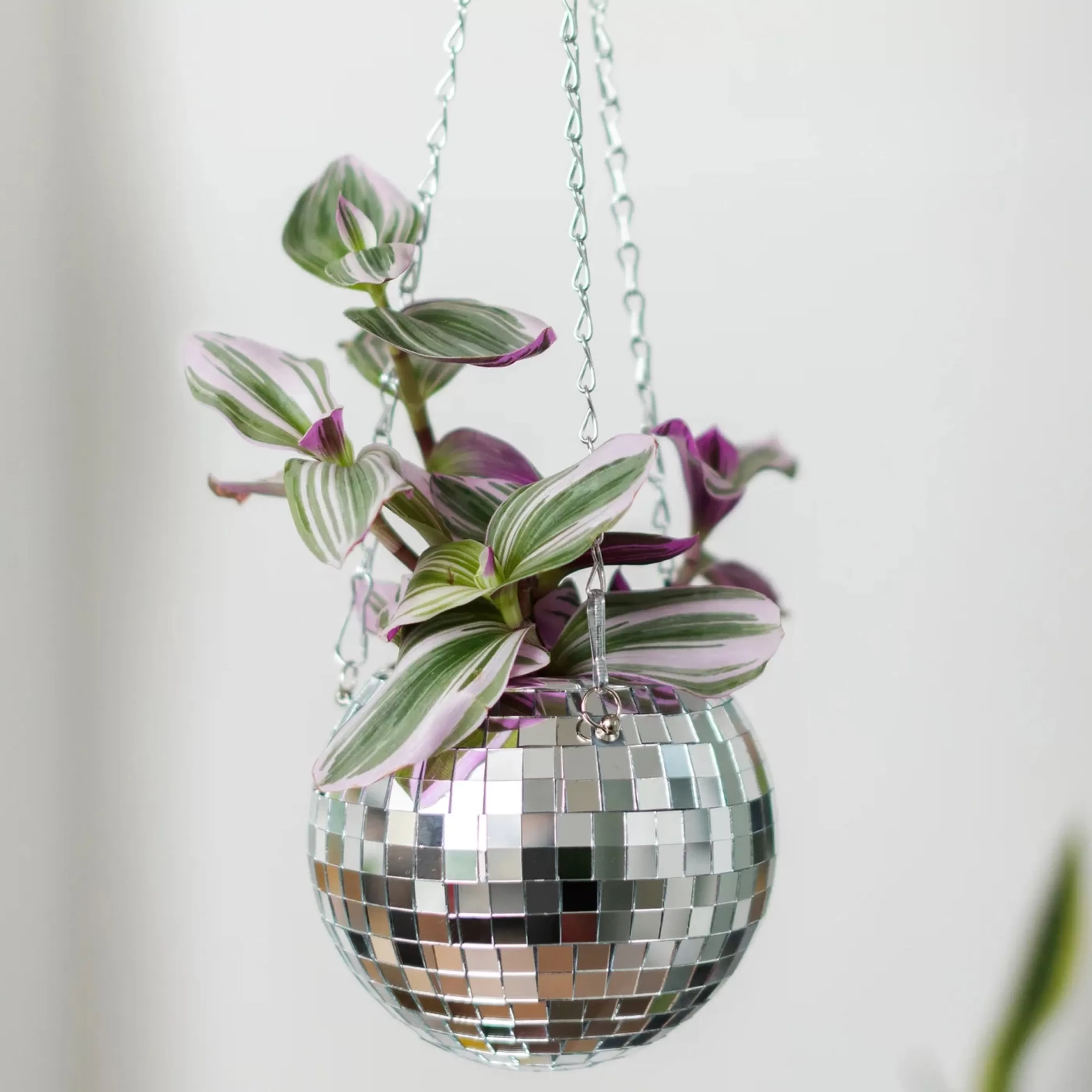 Bubblegum Stuff Home Accessories>Disco Ball Hanging Planter 6 Inch