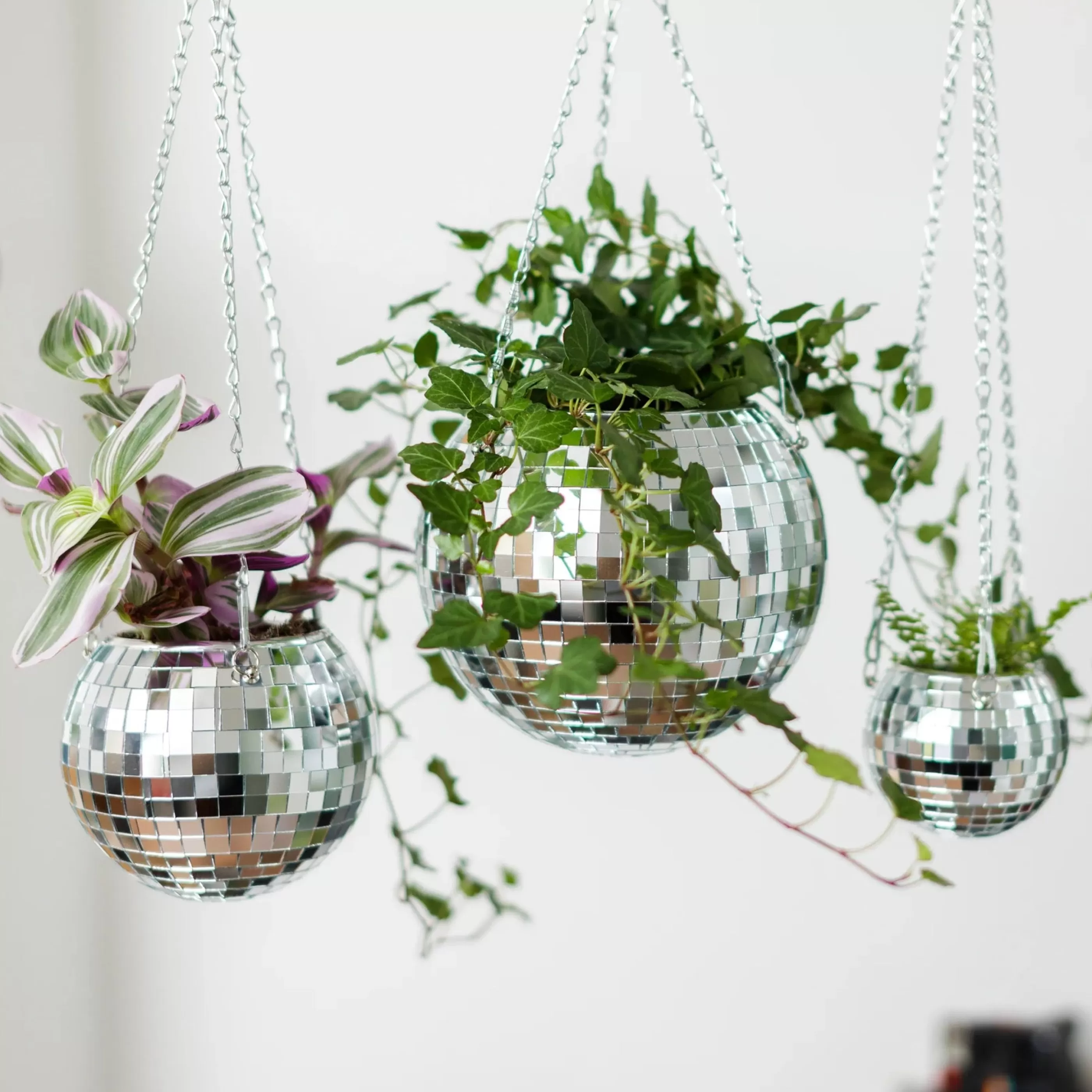 Bubblegum Stuff Home Accessories>Disco Ball Hanging Planter 6 Inch