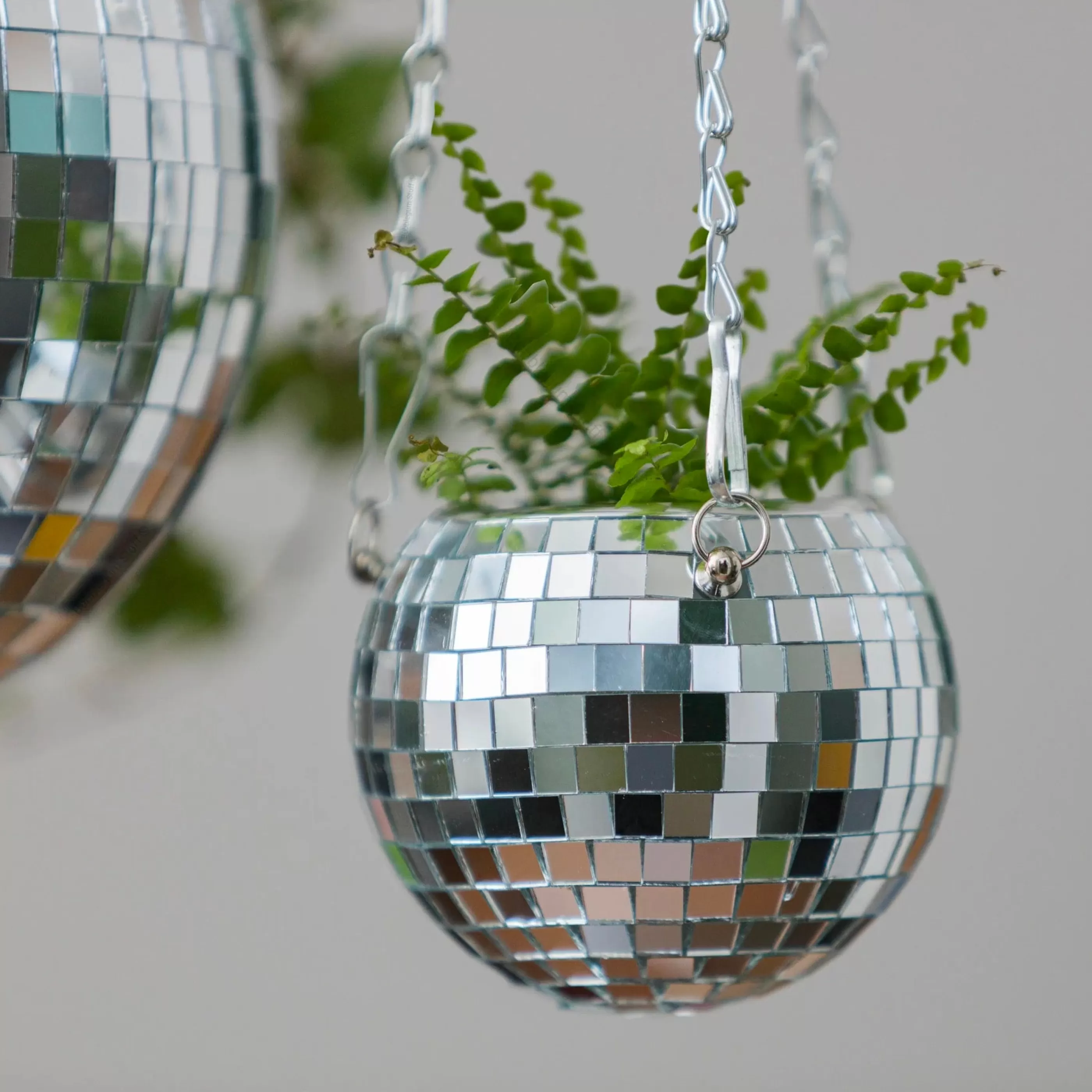 Bubblegum Stuff Home Accessories>Disco Ball Hanging Planter 4 Inch