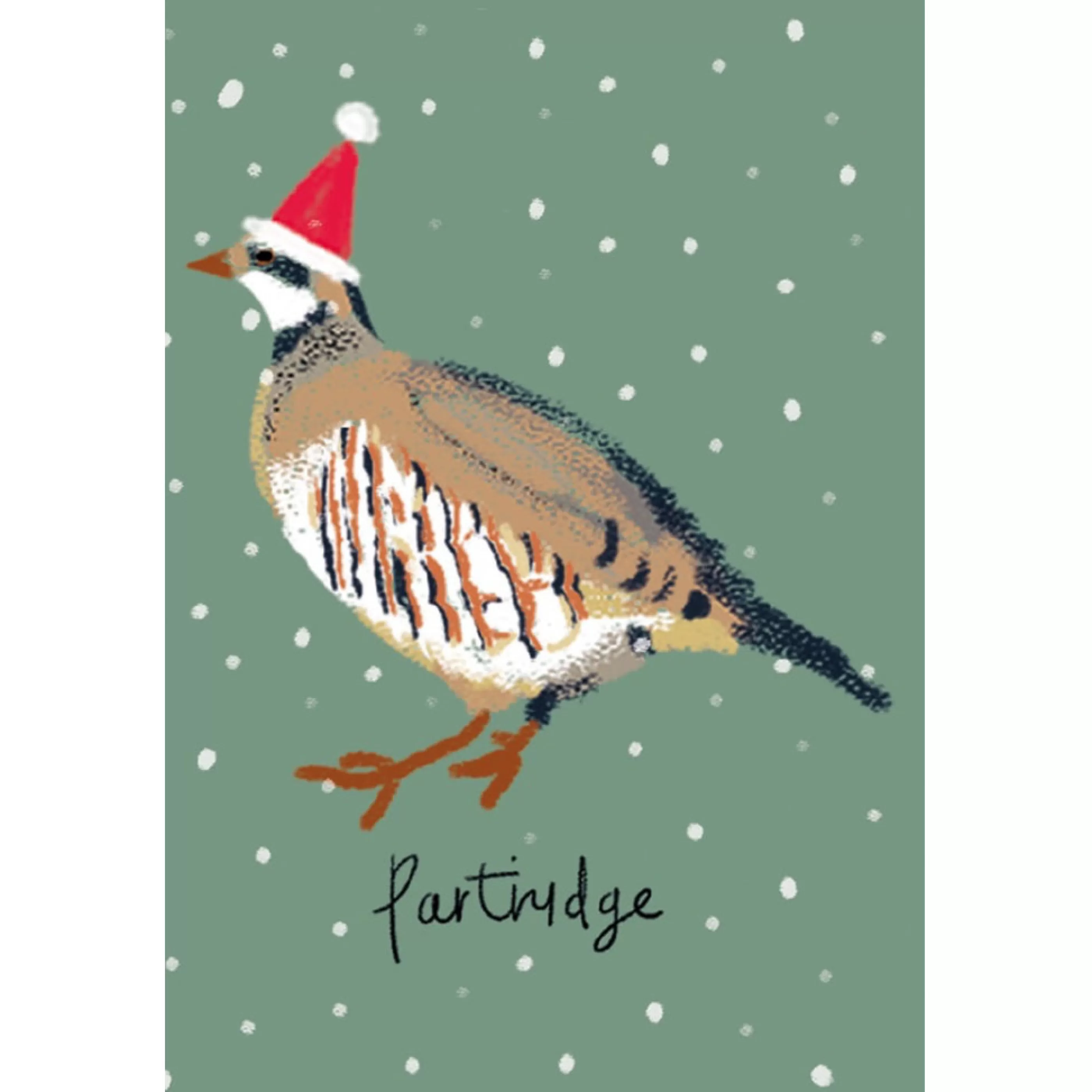 Museums & Galleries Festive Birds Cube Box Holiday Cards Flash Sale