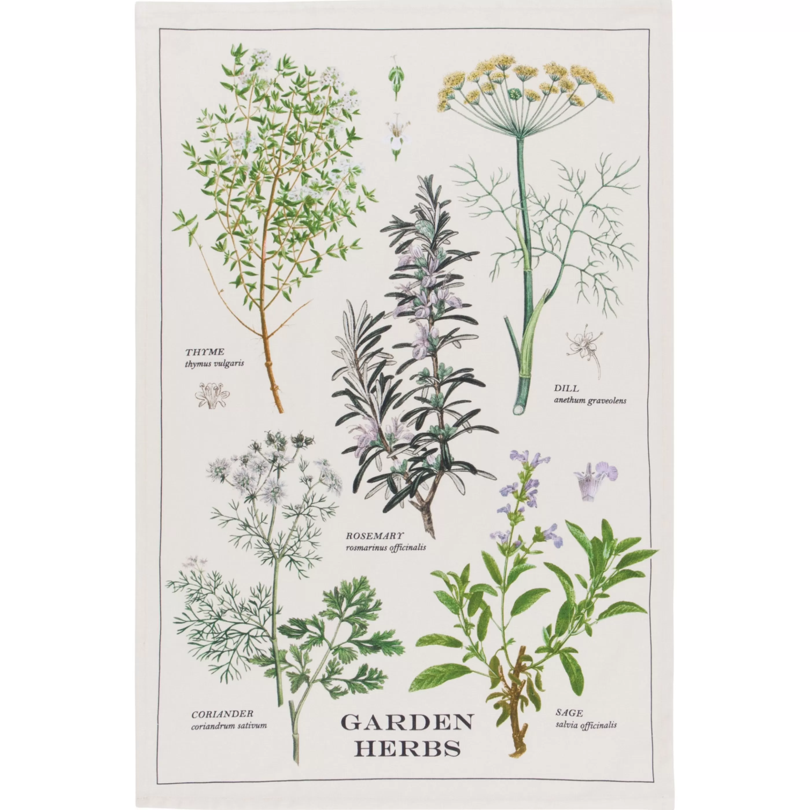 Danica Kitchen & Dining>Garden Herb Tea Towel