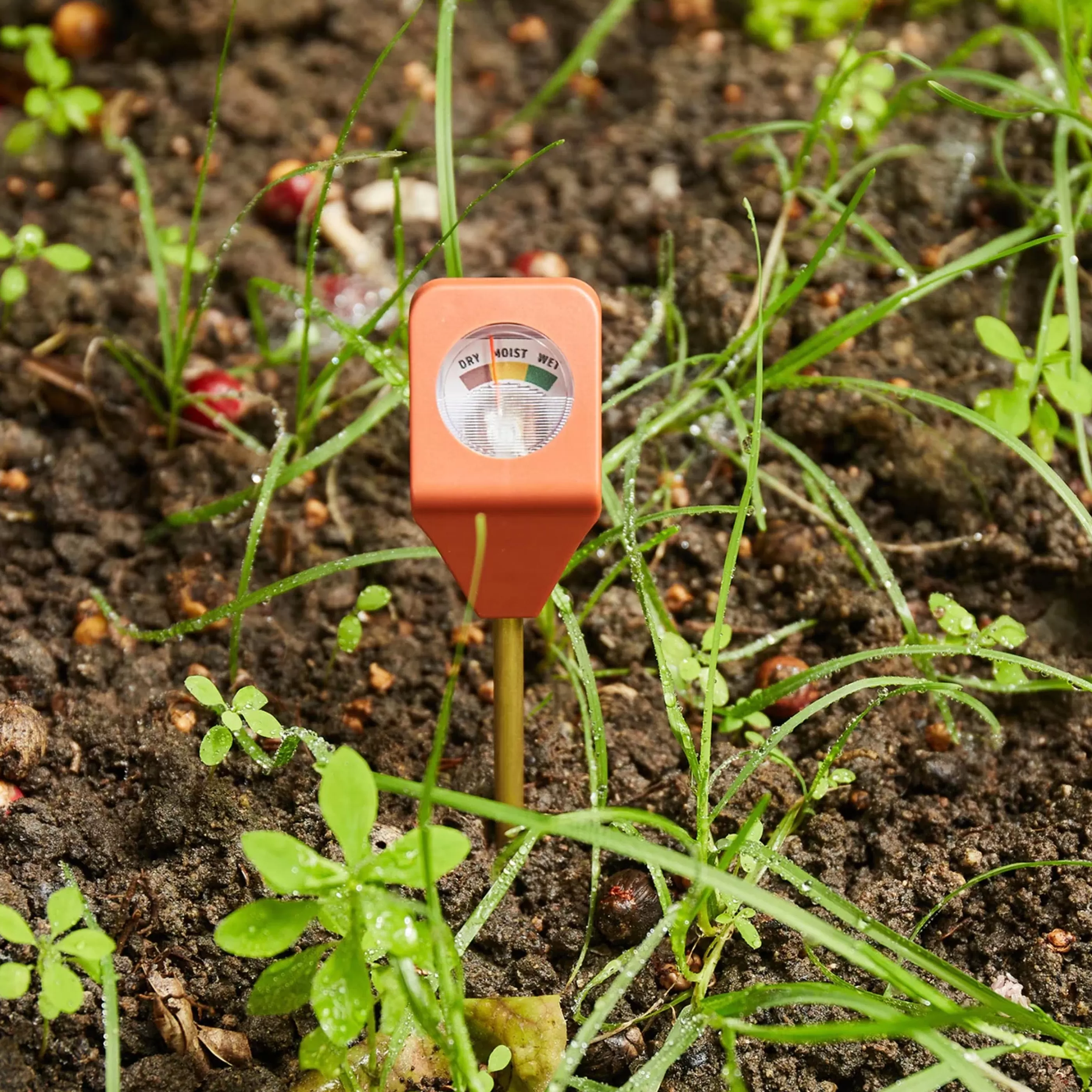 Kikkerland Home Accessories>Garden Hydrometer