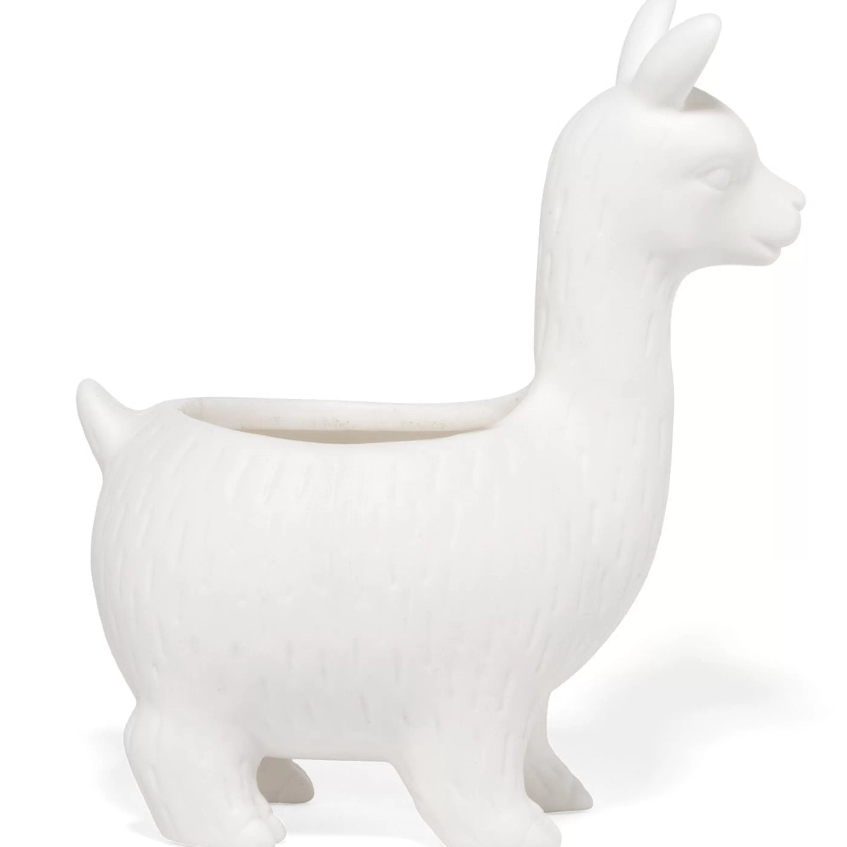 Kikkerland Home Accessories>Lloyd The Llama Planter