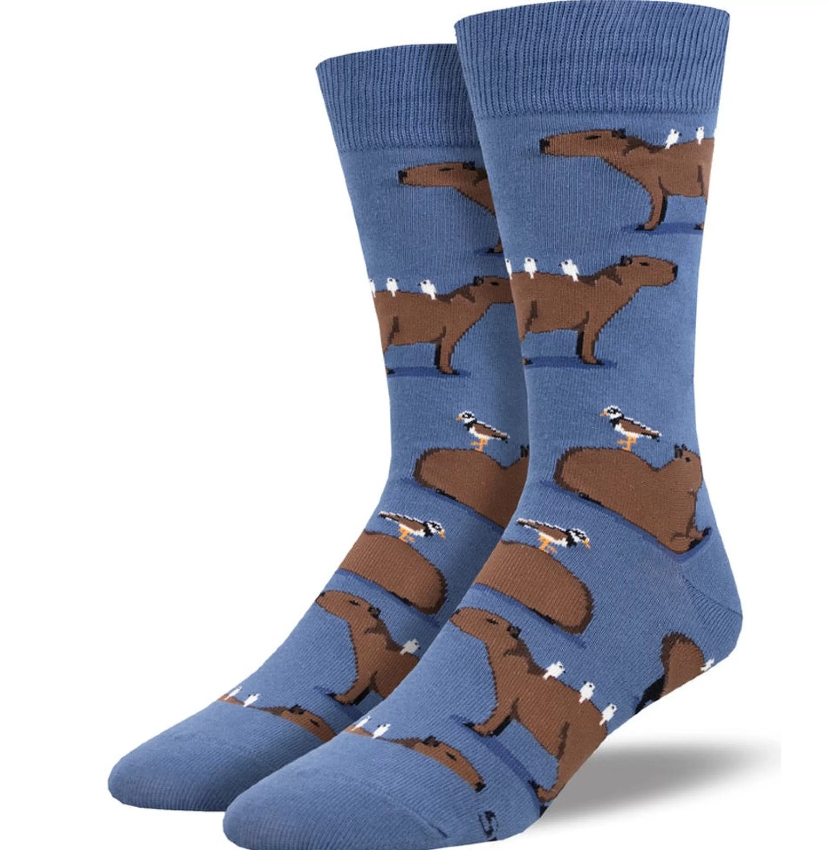 SockSmith Men's Socks>Men's Capybara Socks Blue