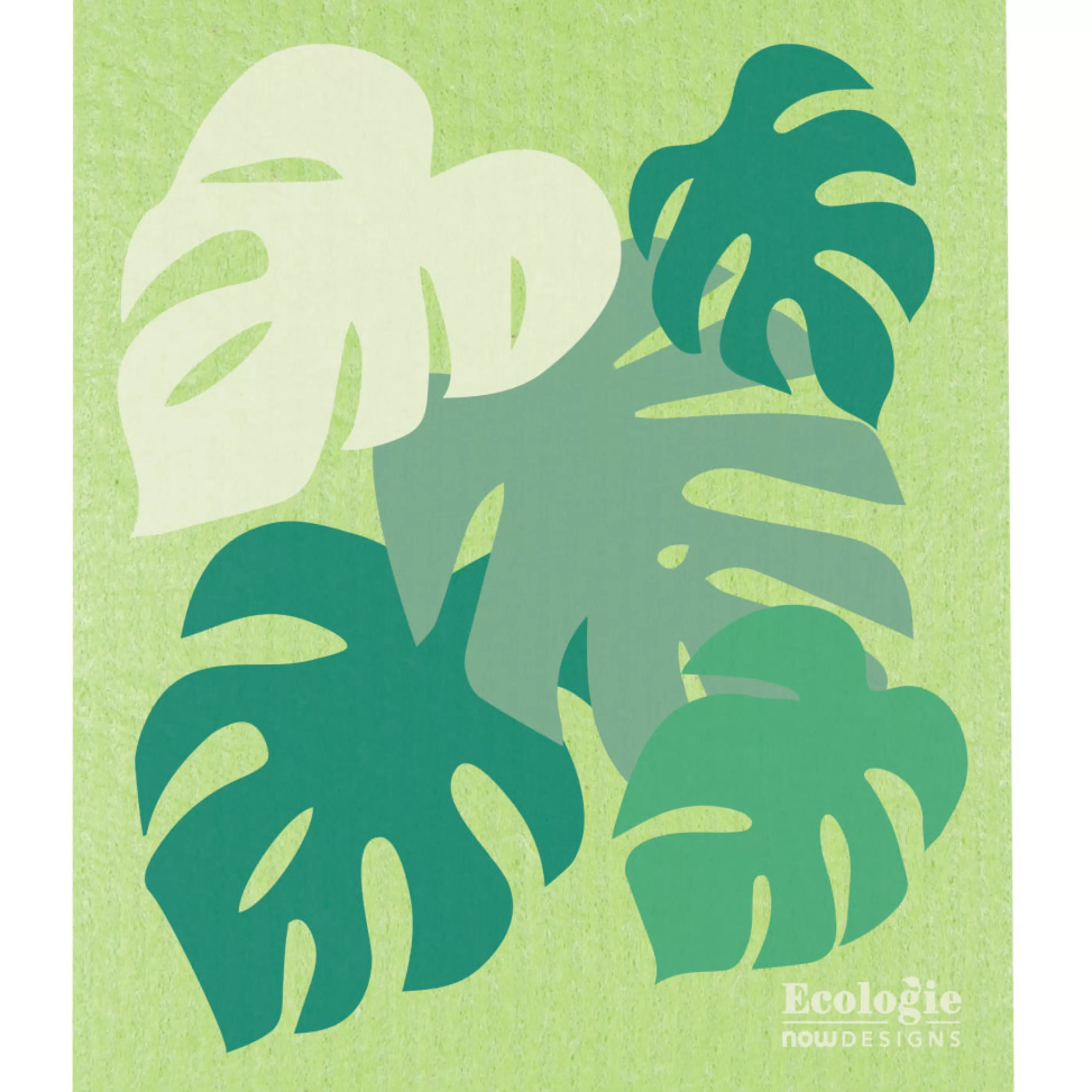 Danica Kitchen & Dining>Monstera Swedish Dishcloth