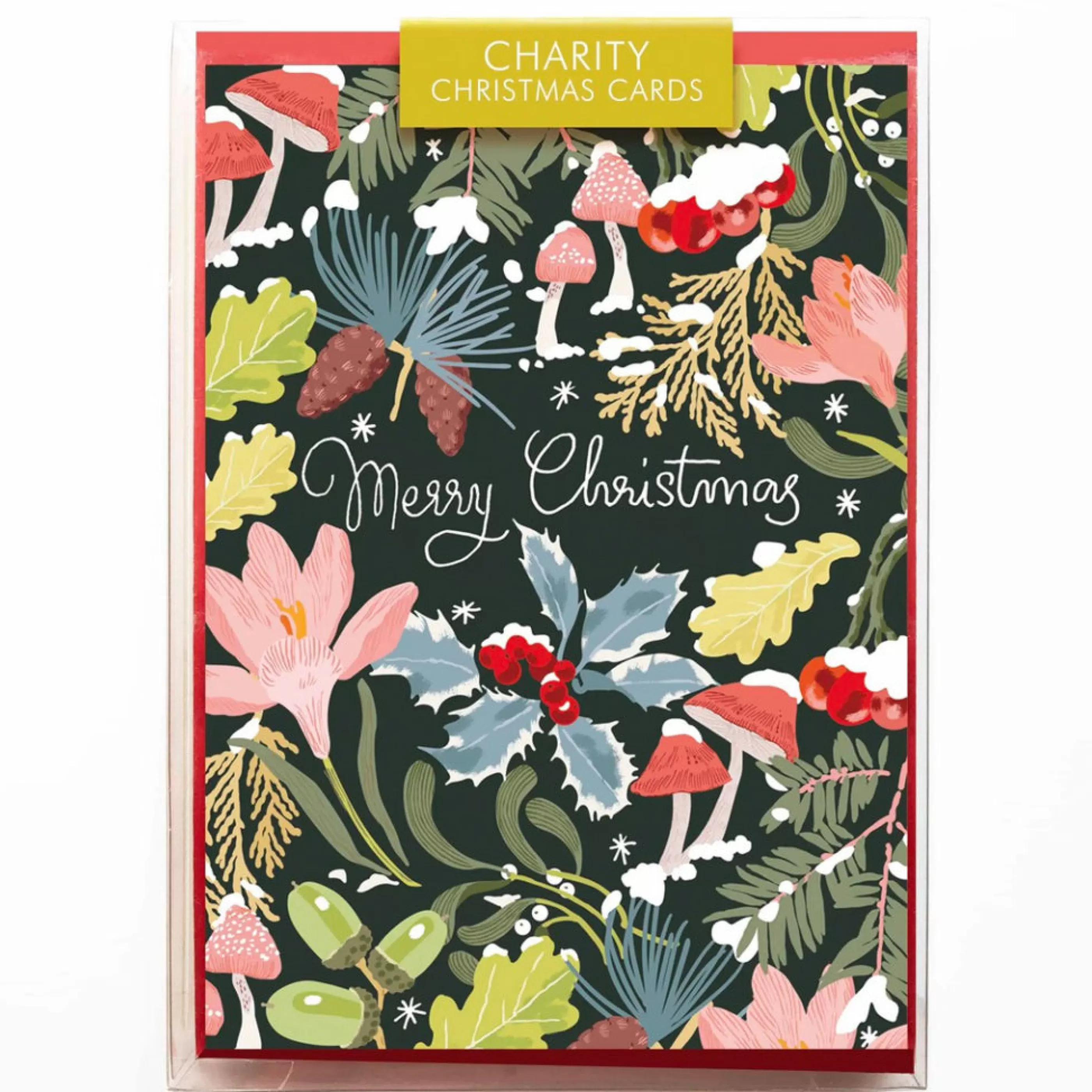 Noi Publishing Pastel Christmas Florals Charity Boxed Holiday Cards Sale