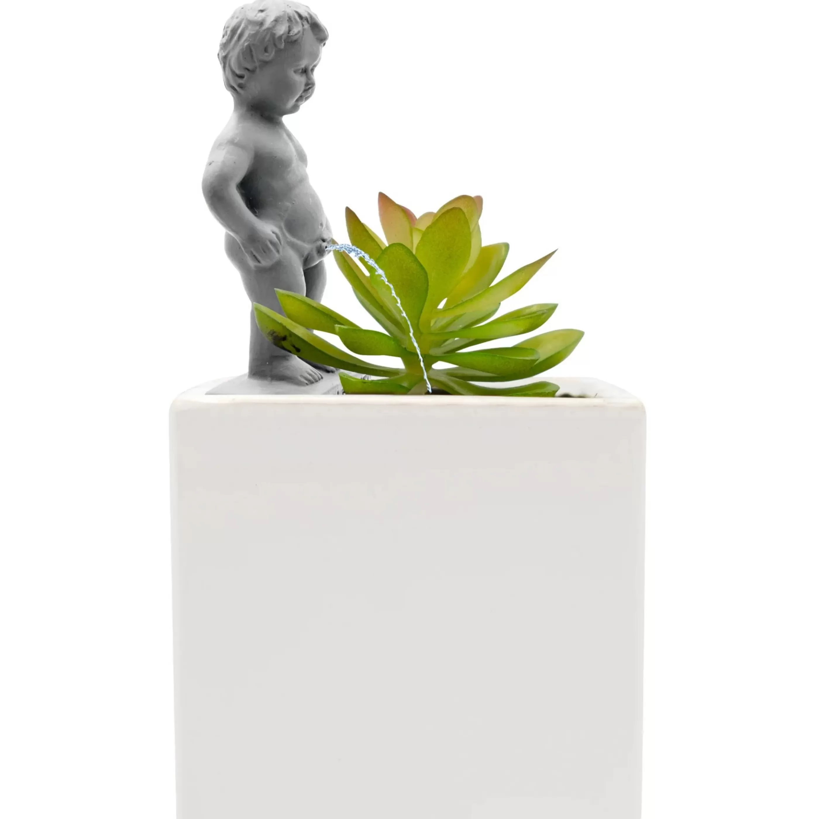 NPW Home Accessories>Pee My Plants