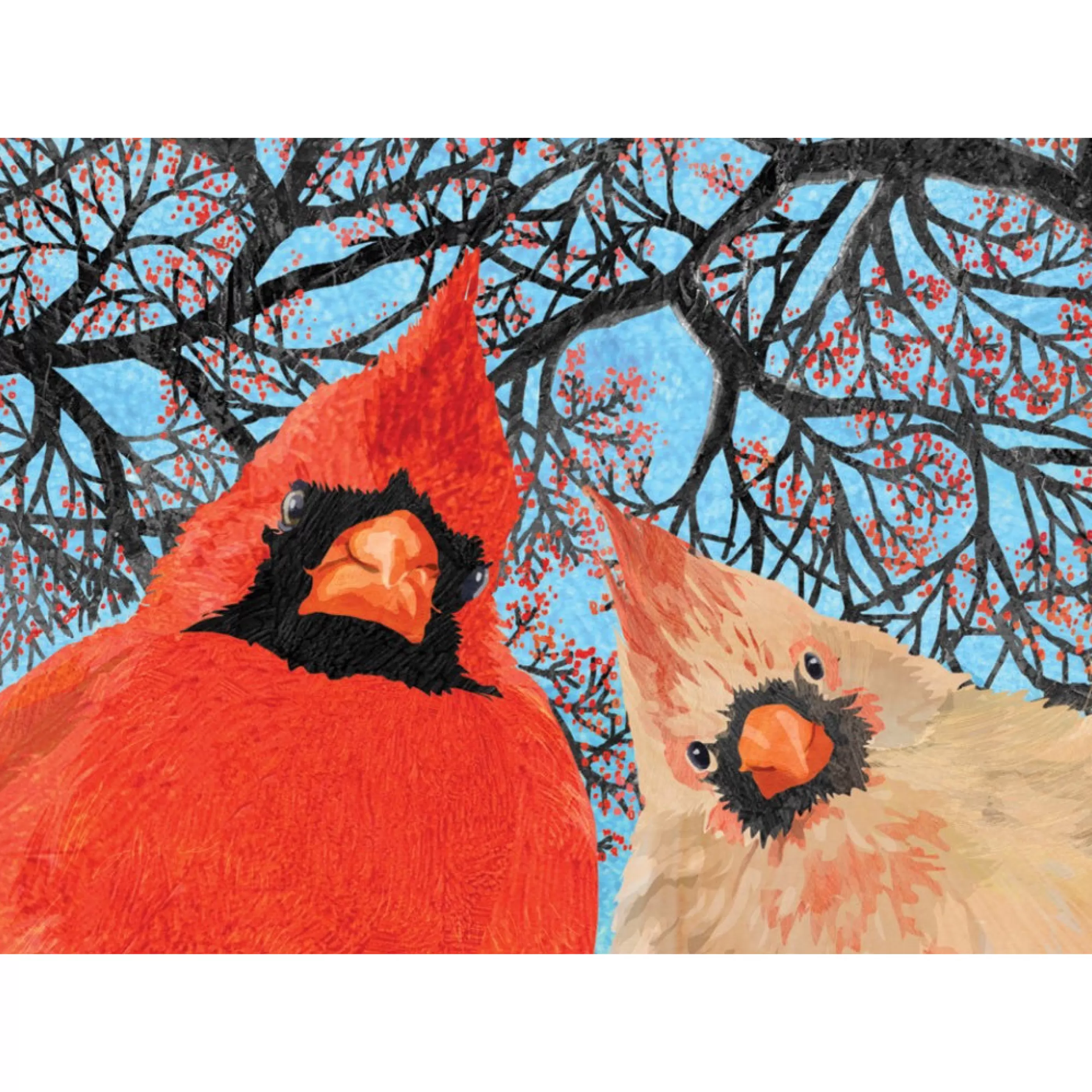 Allport Editions Quirky Cardinals Boxed Holiday Cards Online