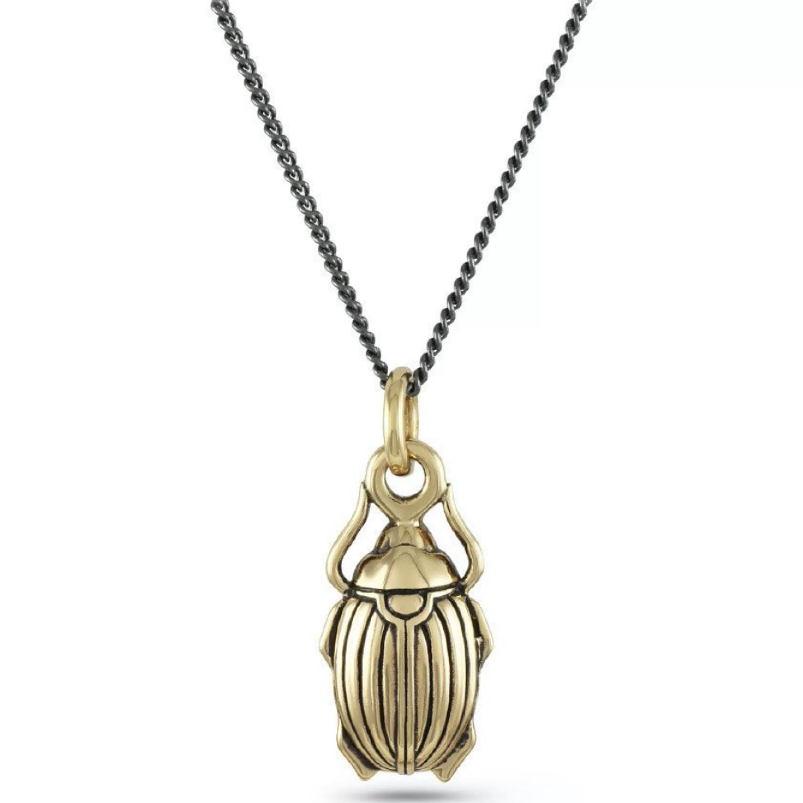 Lost Apostle Jewellery>Scarab Beetle Bronze Necklace