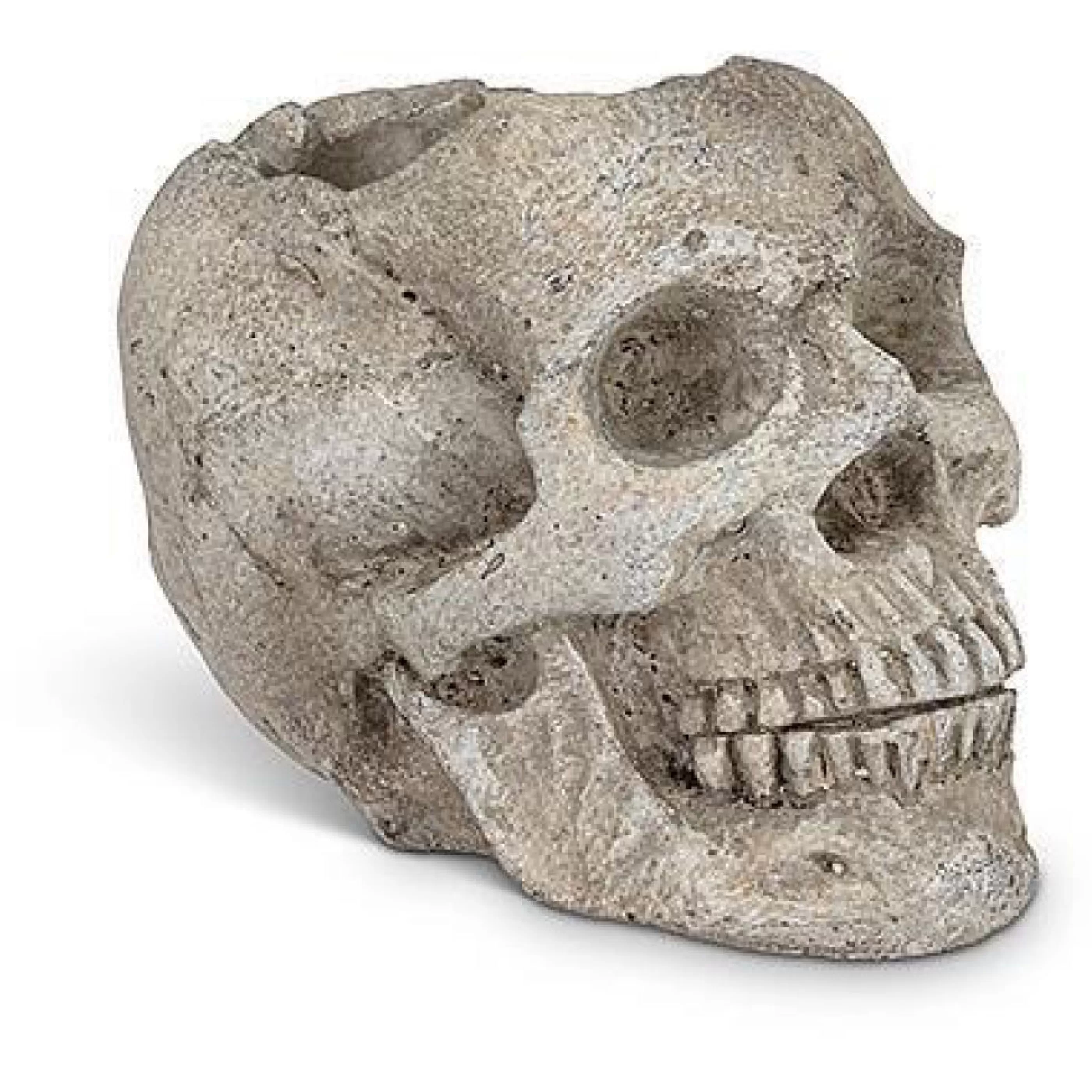 Abbott Collection Home Accessories>Skull Planter / Tealite Holder Small