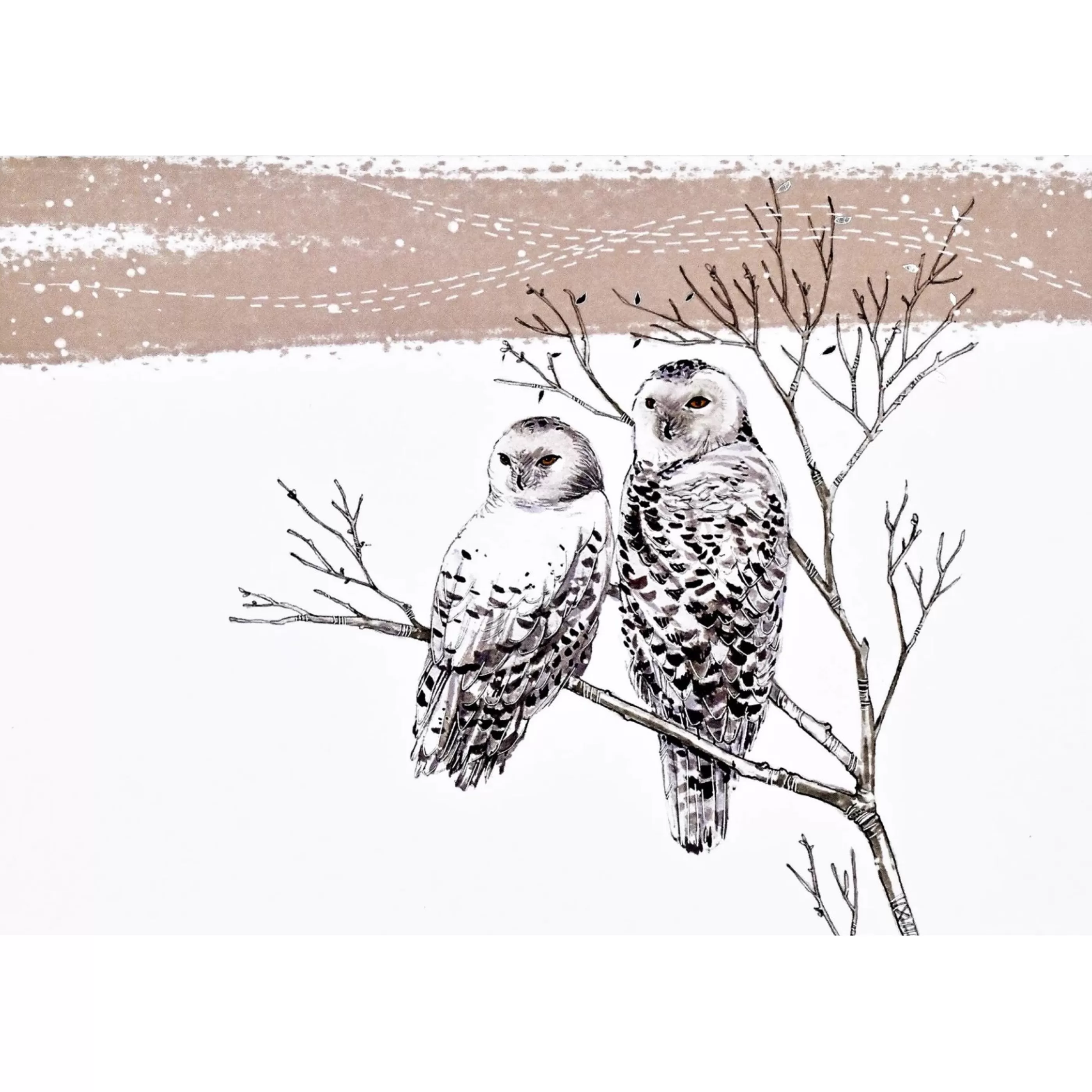 Peter Pauper Press Snowy Owls Boxed Holiday Cards Discount