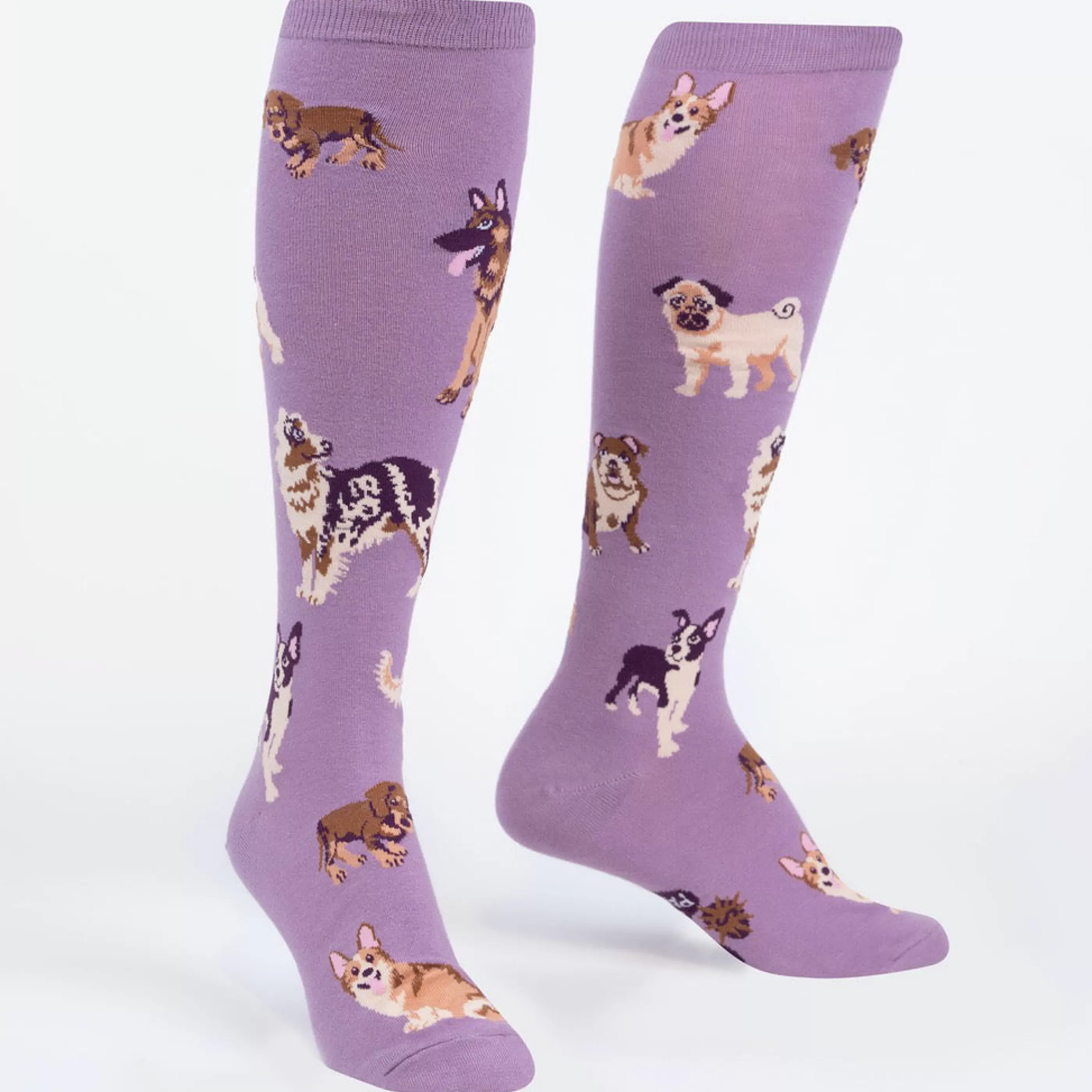 Sock It To Me Women's Socks>Stay Pawsitive Knee Socks