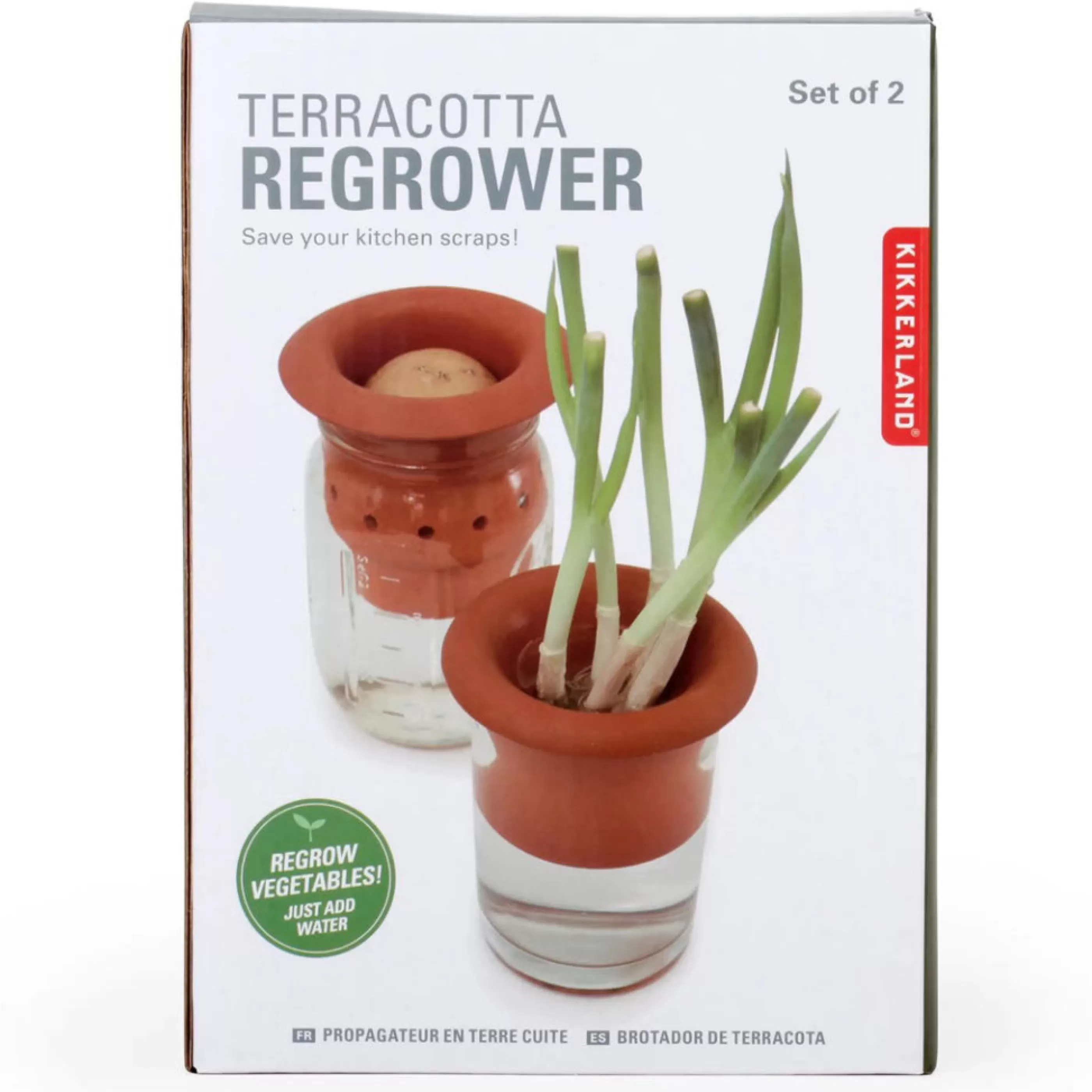 Kikkerland Home Accessories>Terracotta Regrower