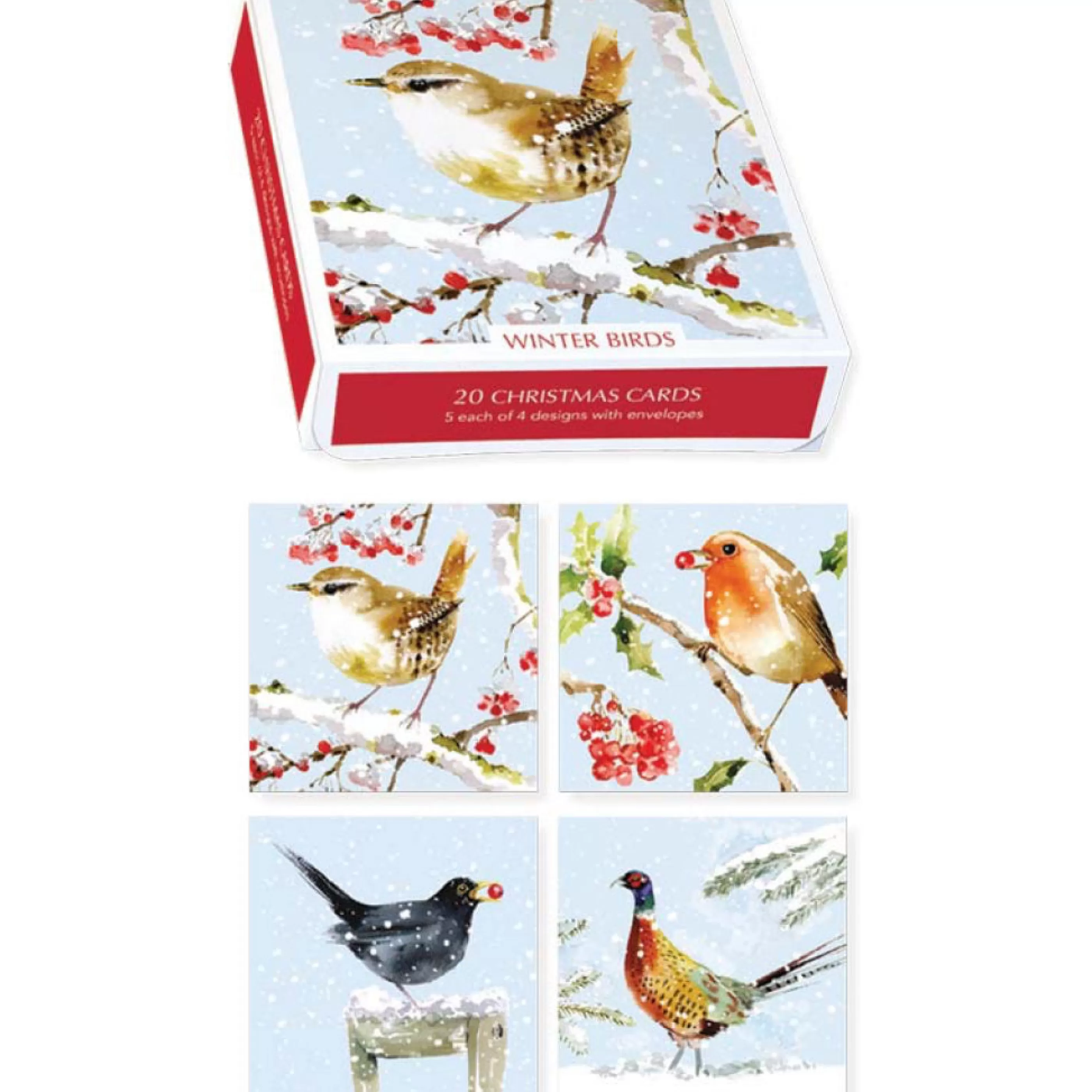 Museums & Galleries Winter Birds Boxed Holiday Cards Sale