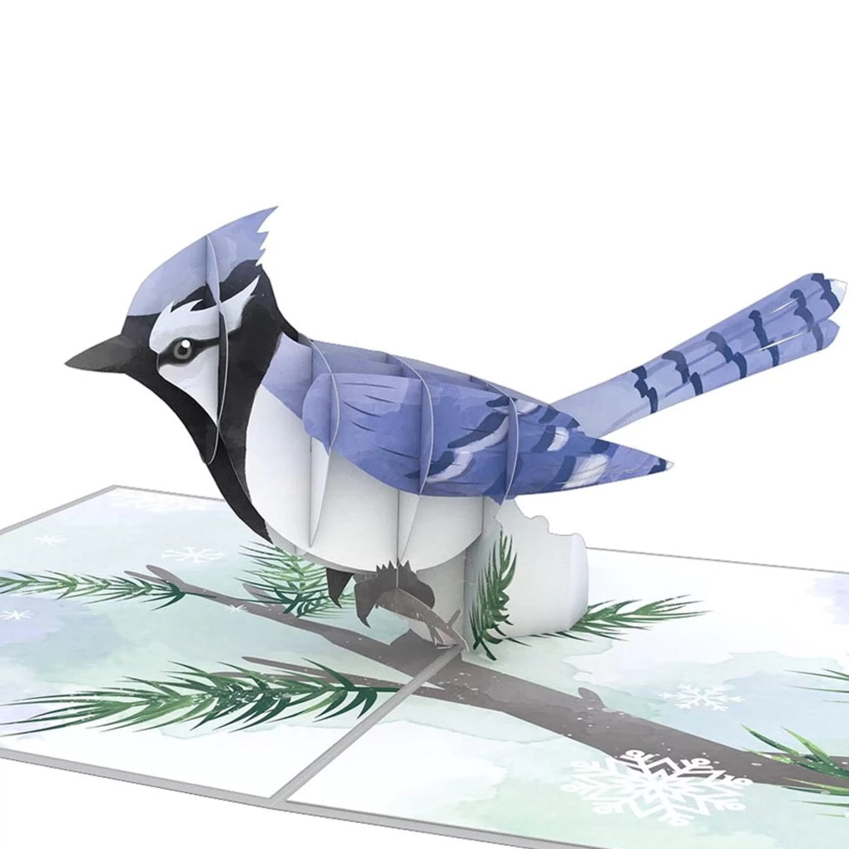 Lovepop Winter Blue Jay 3D Pop-Up Card Flash Sale