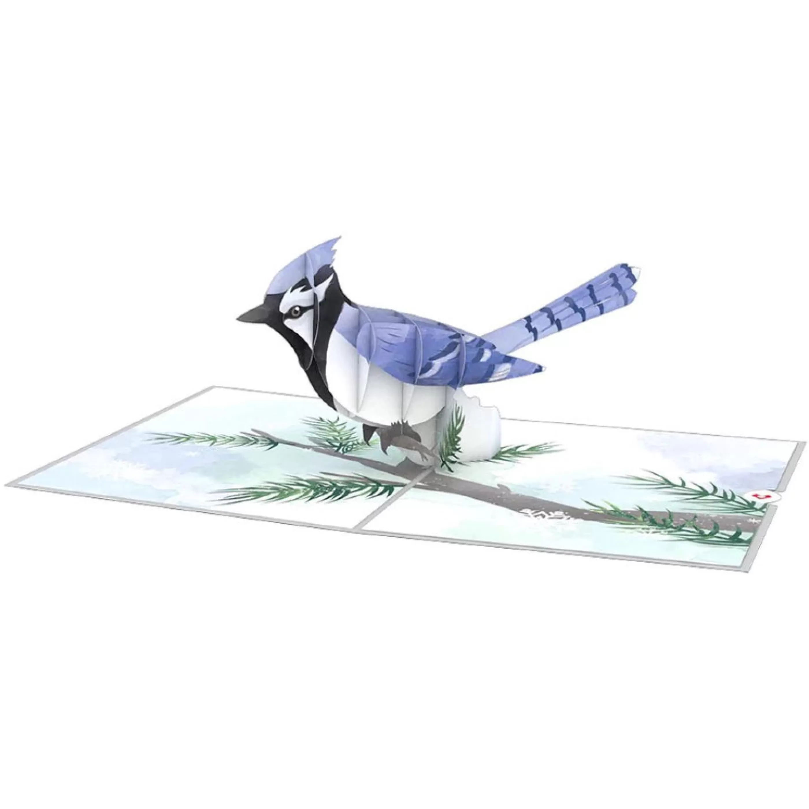 Lovepop Winter Blue Jay 3D Pop-Up Card Flash Sale