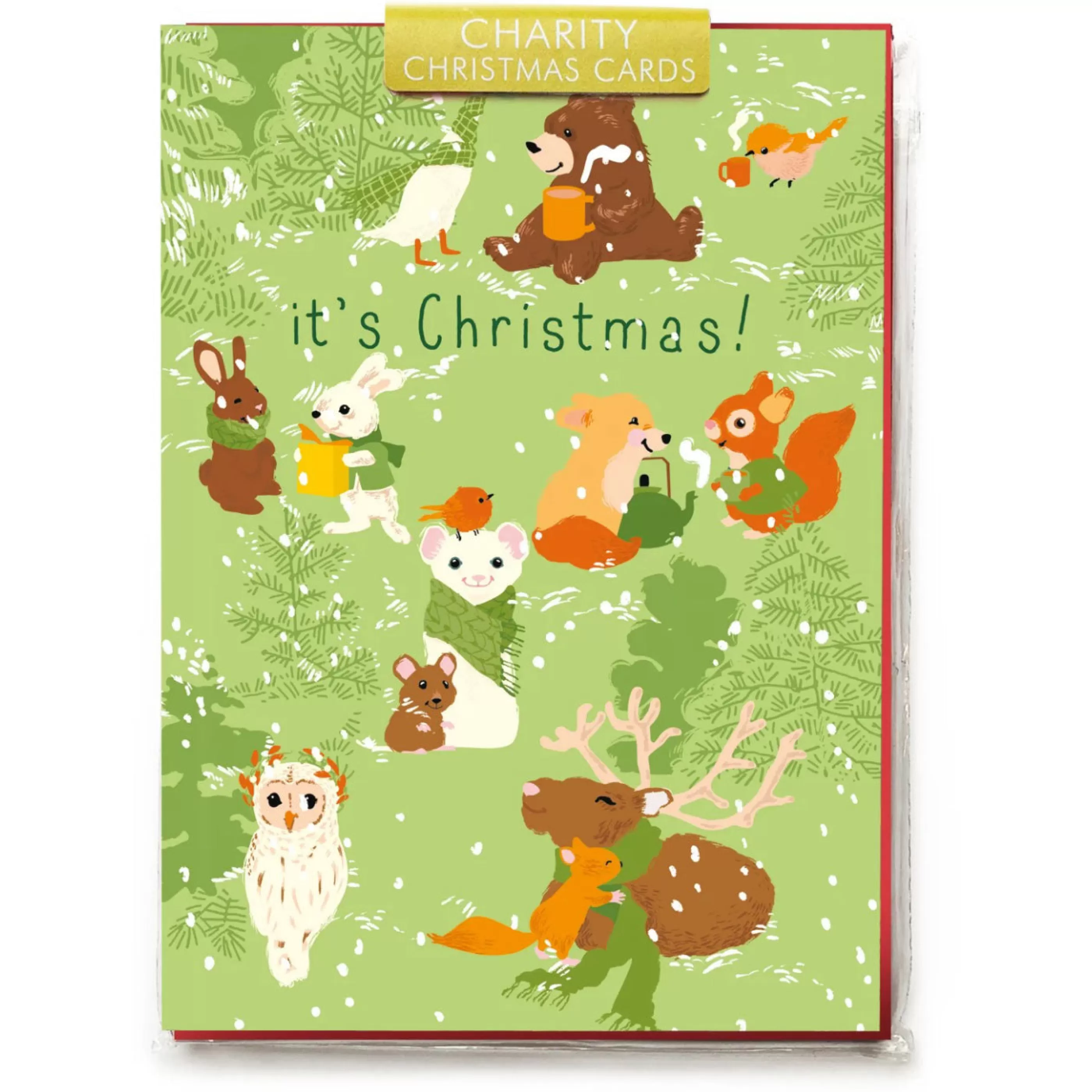 Noi Publishing Winter Woodland Animals Cello Pack Holiday Cards Hot